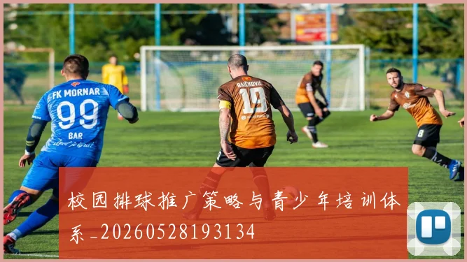 校园排球推广策略与青少年培训体系_20260528193134