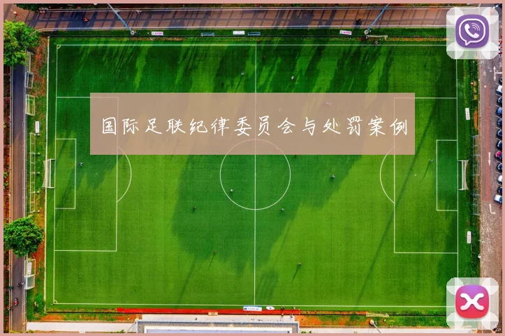 国际足联纪律委员会与处罚案例