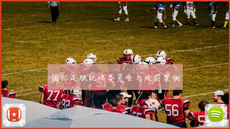 国际足联纪律委员会与处罚案例